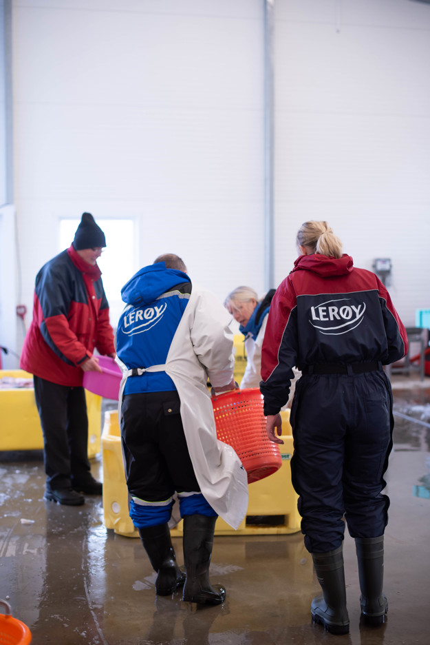 To mennesker sett bakfra med Lerøy-kjeledress.