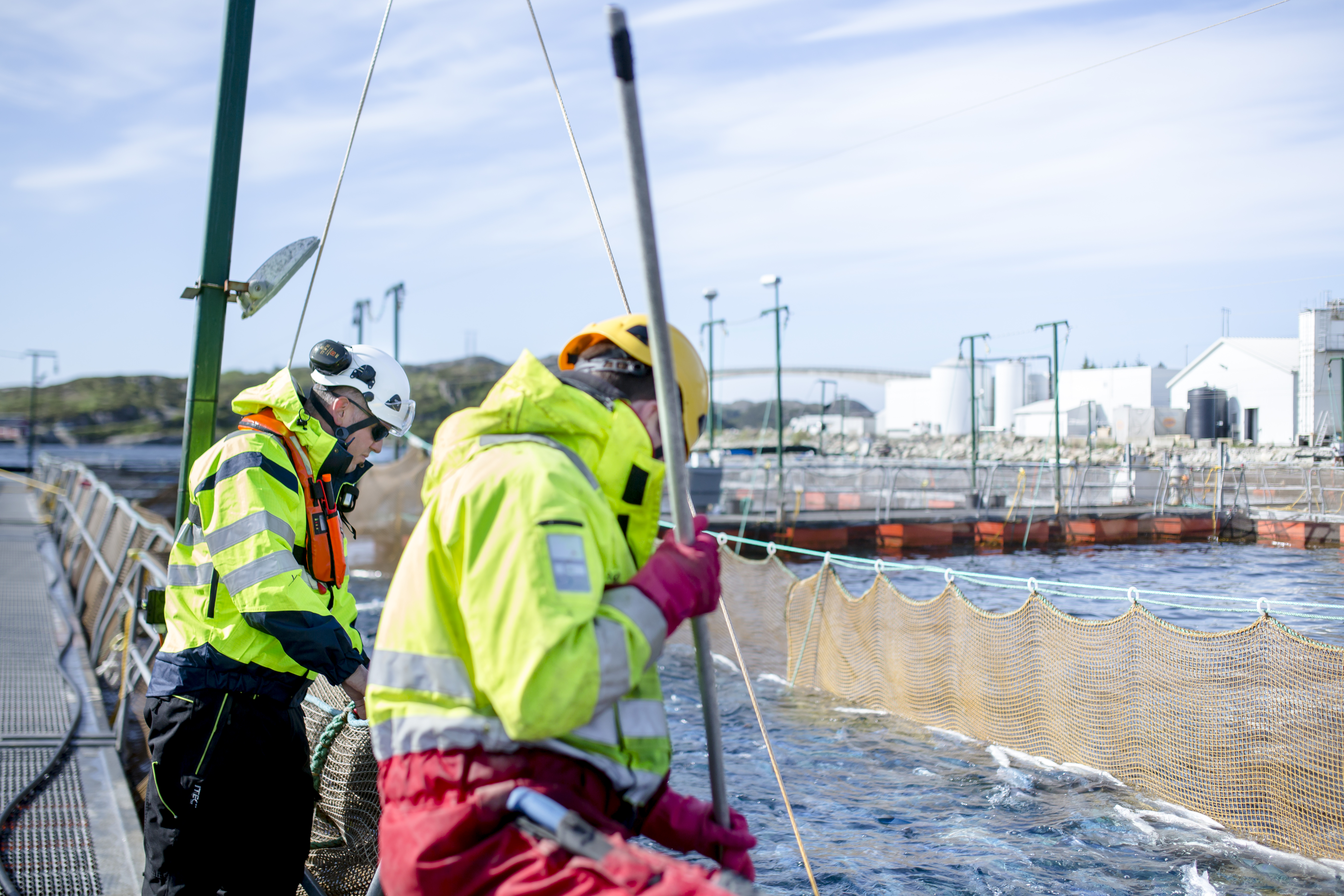 Employees working by the fish cages